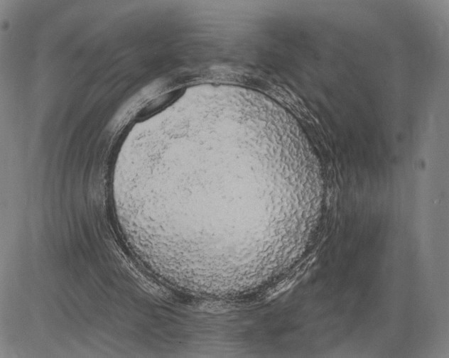 X0000083630341200703051641