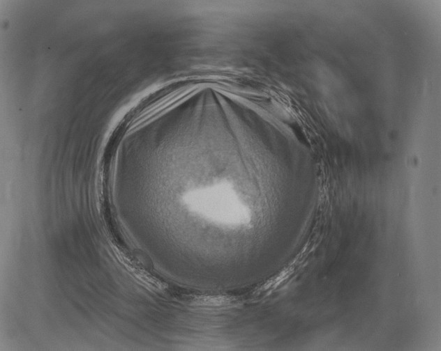 X0000083630342200703051641
