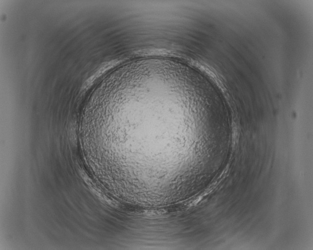 X0000083630345200703051641