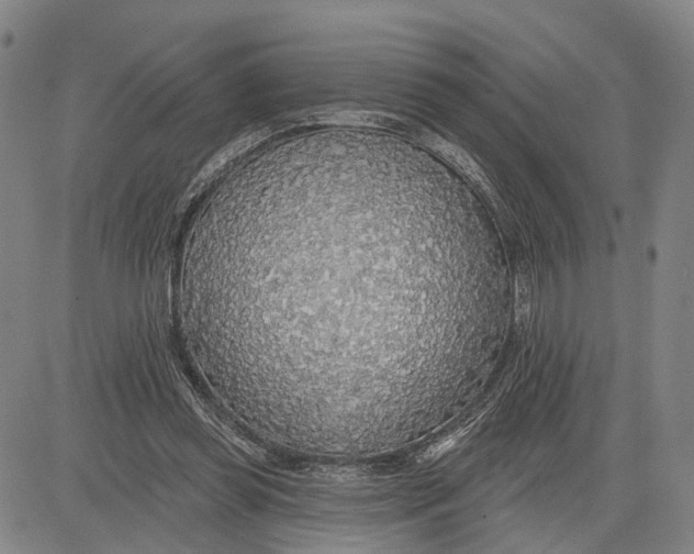 X0000083630349200703051641