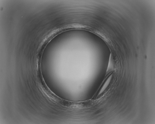 X0000083630350200703051641