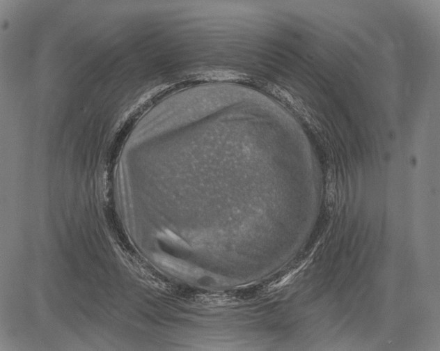 X0000083630351200703051641