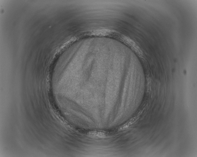X0000083630354200703051641