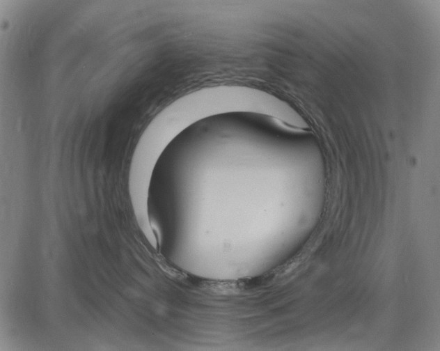 X0000083630384200703051641