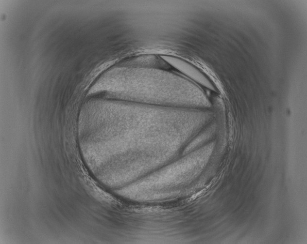 X0000083630385200703051640