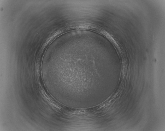 X0000083630386200703051640