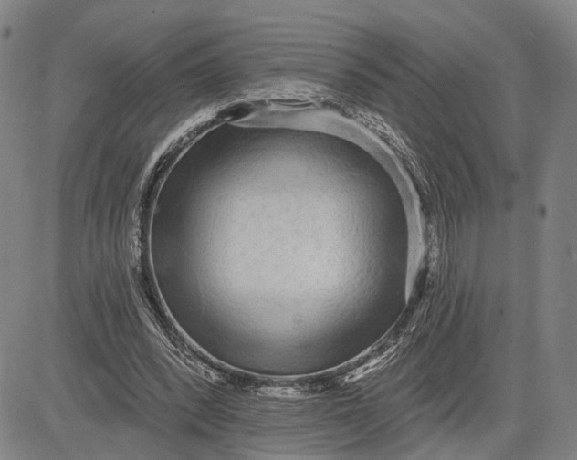 X0000083630392200703051640