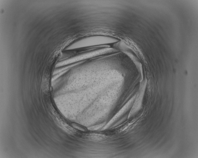 X0000083630393200703051640