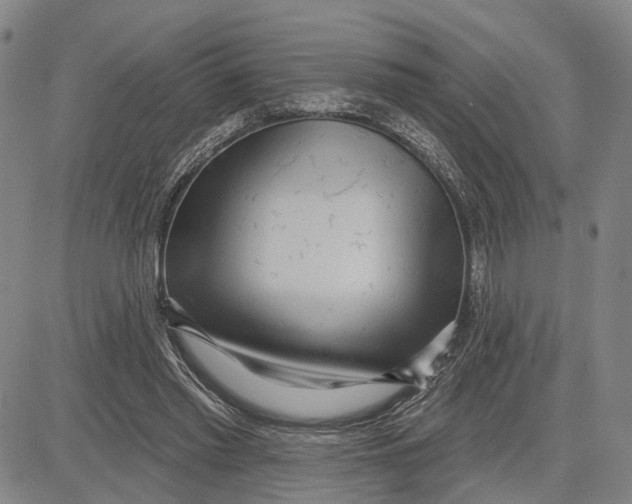 X0000083630397200703051640