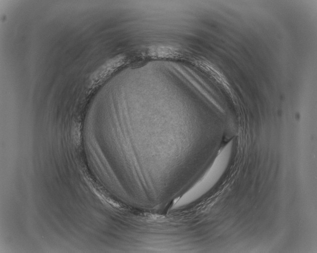 X0000083630401200703051640