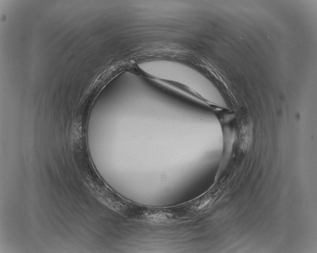 X0000083630407200703051640