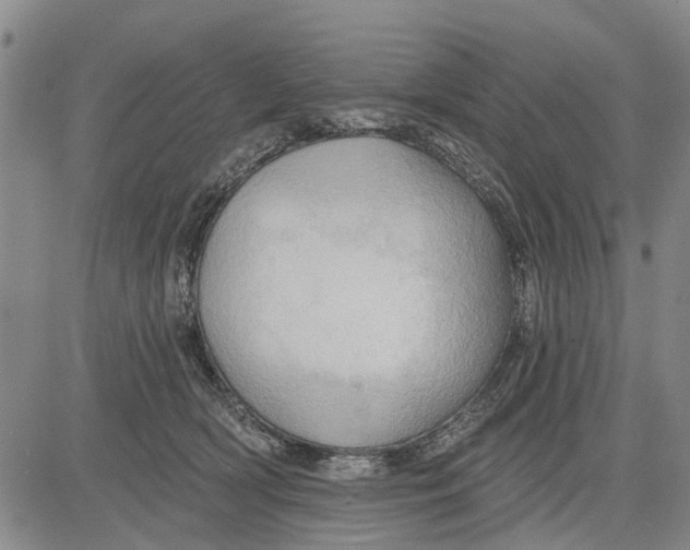X0000083630418200703051640