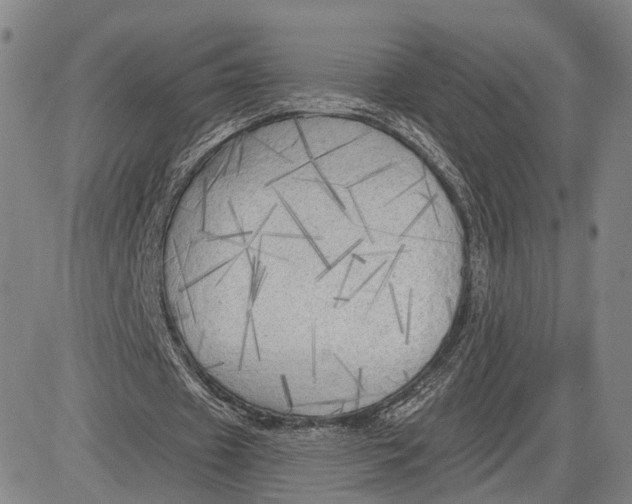 X0000083630433200703051639