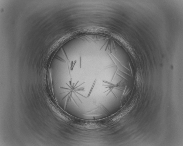 X0000083630445200703051639