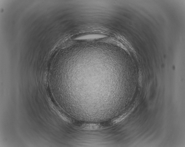 X0000083630449200703051639