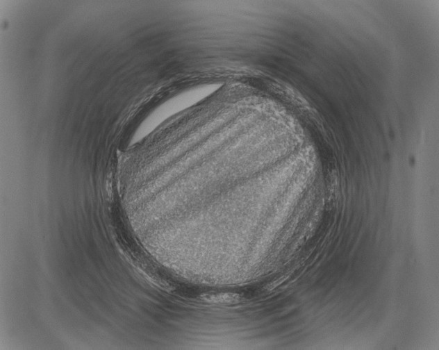 X0000083630452200703051639