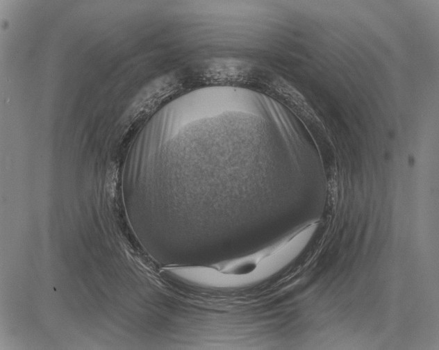 X0000083630458200703051639