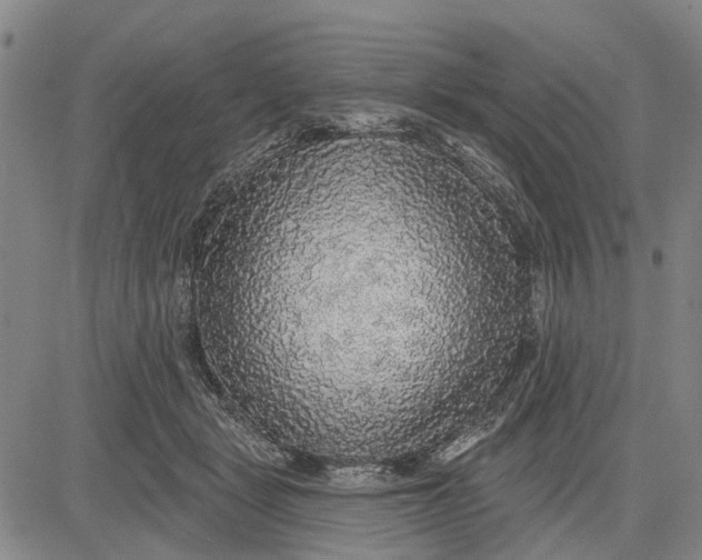X0000083630461200703051639