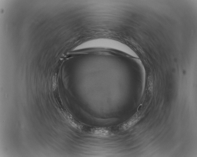 X0000083630471200703051639