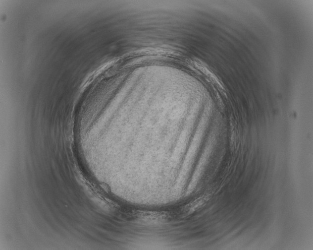 X0000083630486200703051639