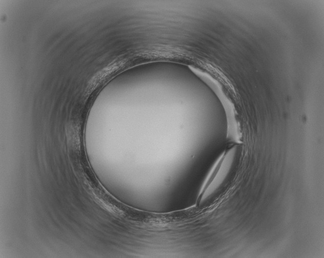X0000083630489200703051639