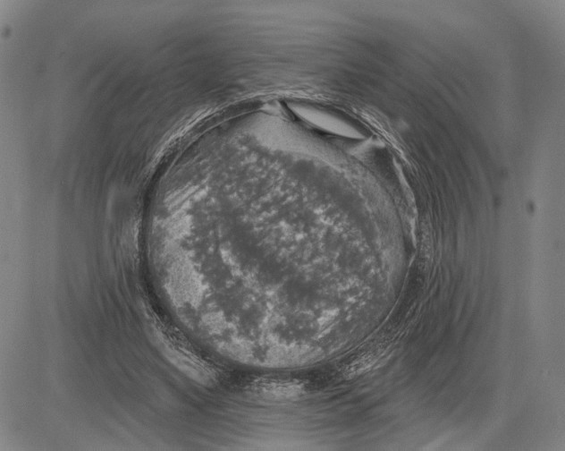 X0000083630491200703051639