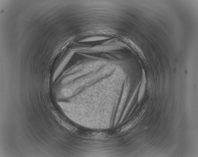 X0000083630493200703051639