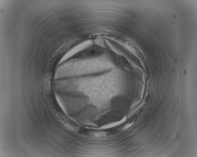 X0000083630501200703051638
