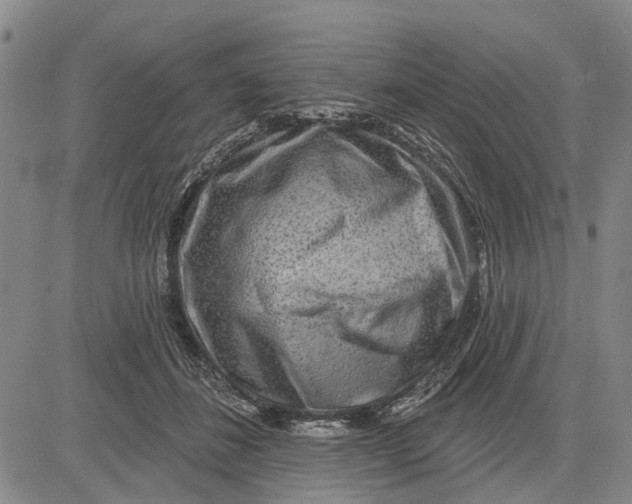 X0000083630508200703051638