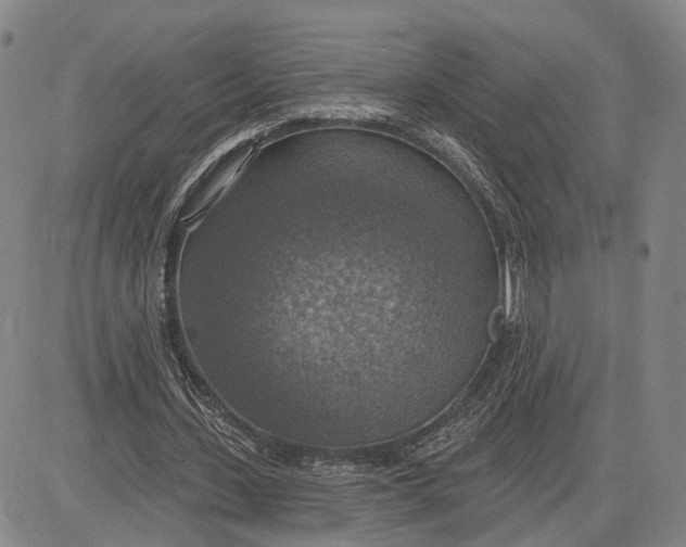 X0000083630531200703051637