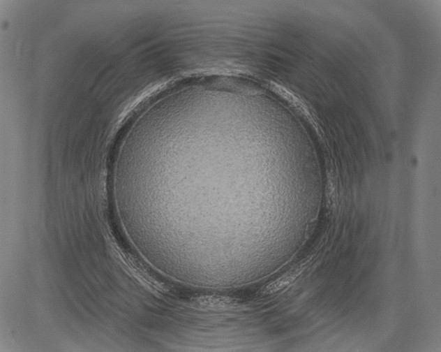X0000083630535200703051637