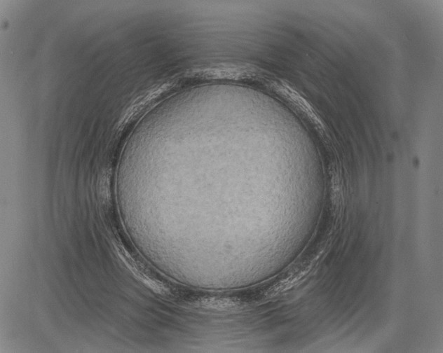 X0000083630537200703051637