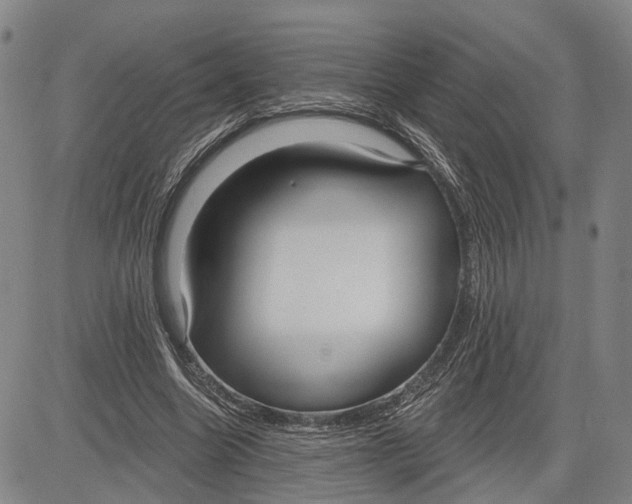 X0000083630538200703051637