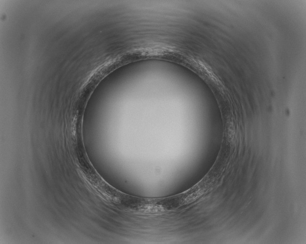 X0000083630543200703051637