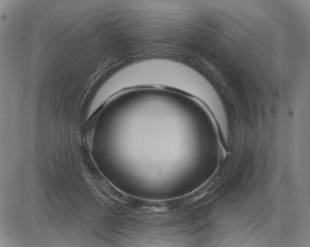 X0000083630552200703051638