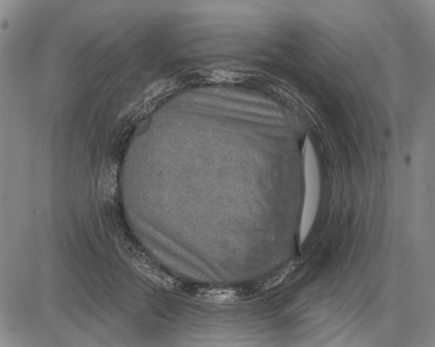 X0000083630554200703051638