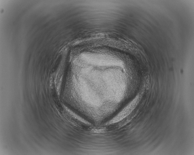 X0000083630560200703051638