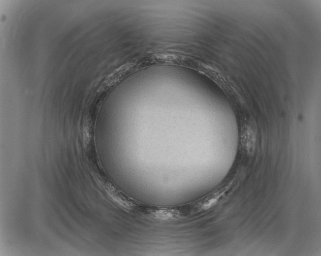 X0000083630566200703051638