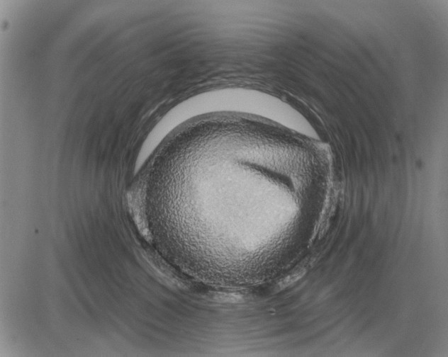 X0000083630572200703051638