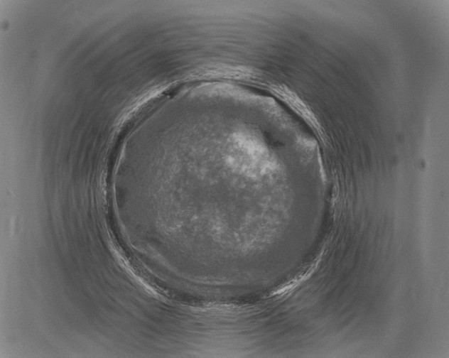 X0000083630581200703051637