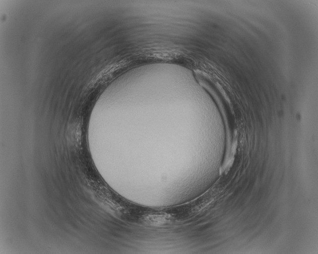 X0000083630595200703051637