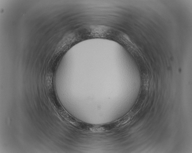 X0000083630603200703051637