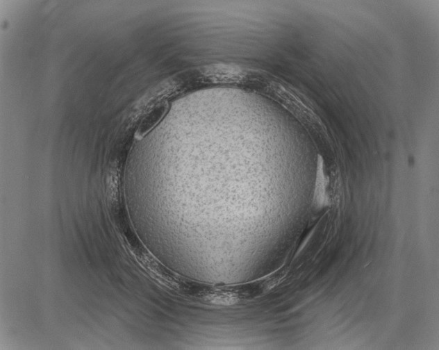 X0000083630604200703051637