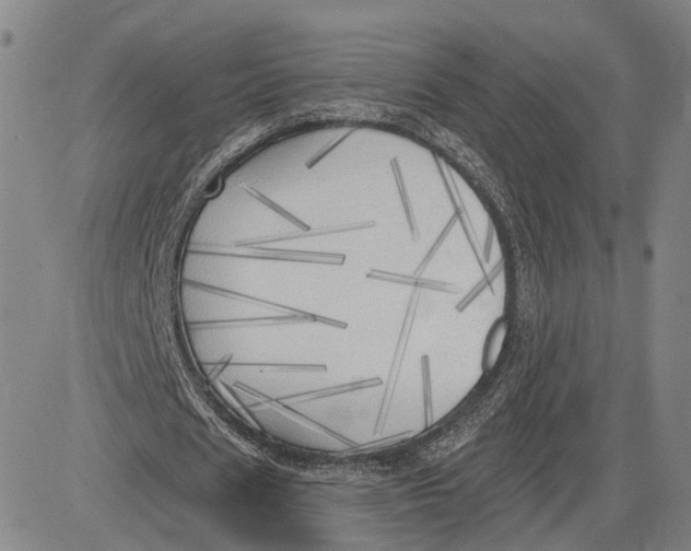 X0000083630625200703051636