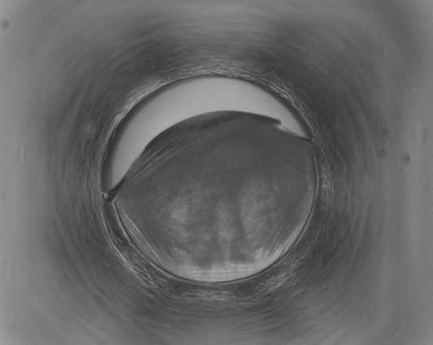 X0000083630626200703051636