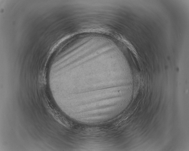 X0000083630628200703051636