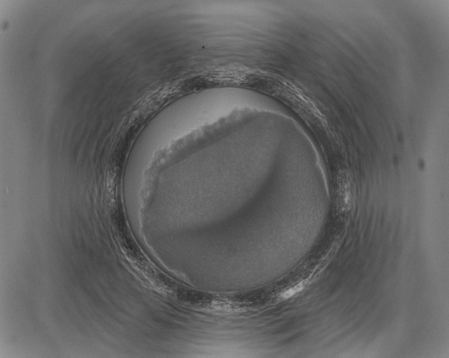 X0000083630641200703051636