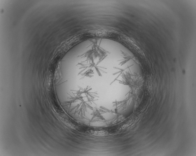 X0000083630645200703051636