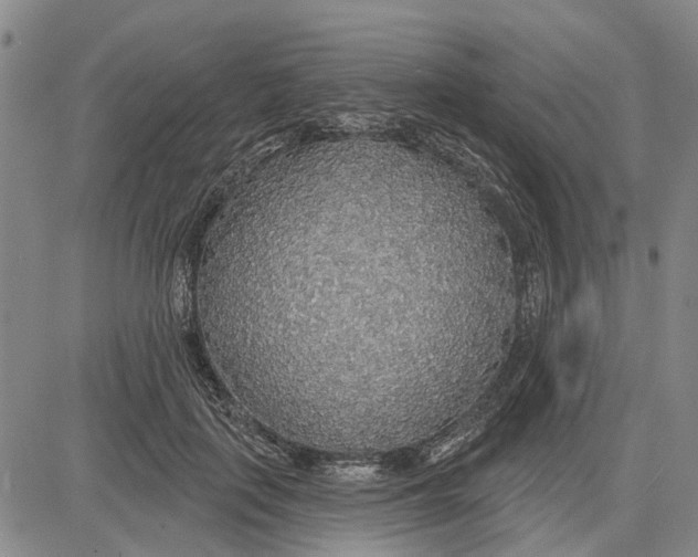 X0000083630651200703051636