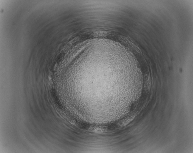 X0000083630655200703051636